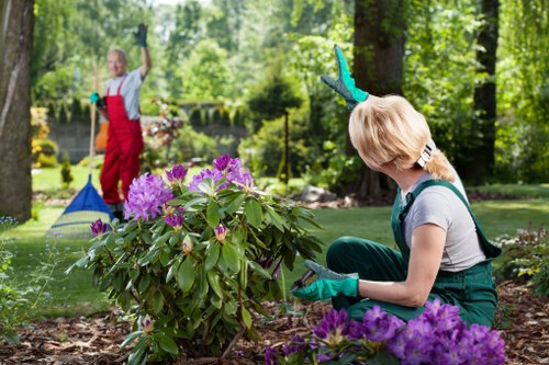 Modern slavery statement introduction for Landscaping Hayes