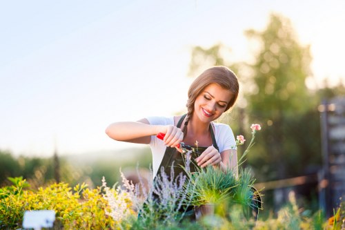 Garden makeover ideas for Hayes homes with new paving and planting