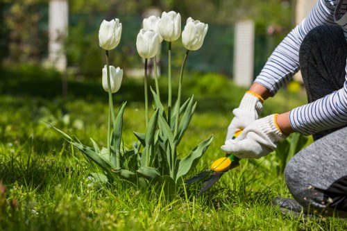 Landscaping quote assessment for a garden in Hayes