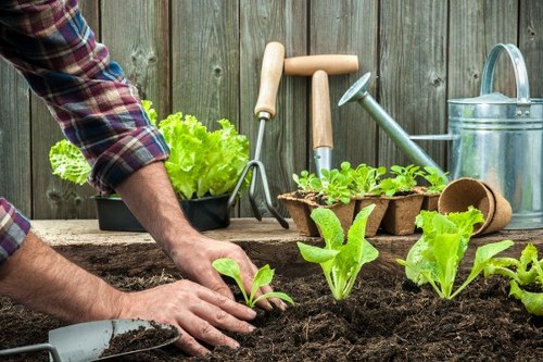 Low-carbon van supporting eco-friendly landscaping operations