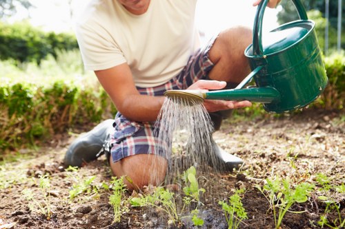 Screen-reader compatible website layout for Landscaping Hayes