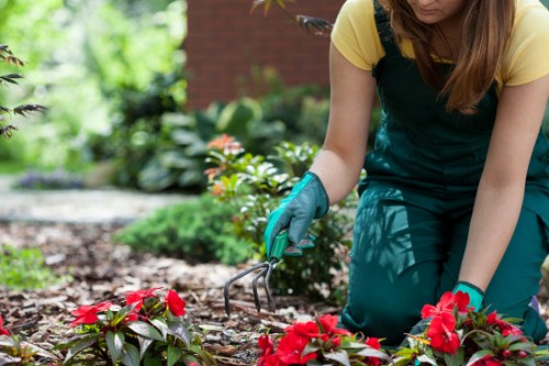 Soft landscaping improvements for a commercial site in Hayes
