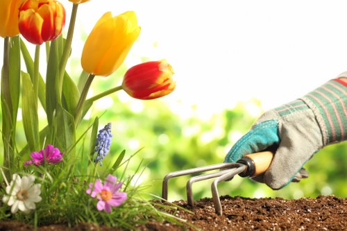 Local garden build process with site preparation and access planning