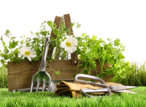 Low-maintenance artificial lawn suitable for Hayes homes and commercial spaces