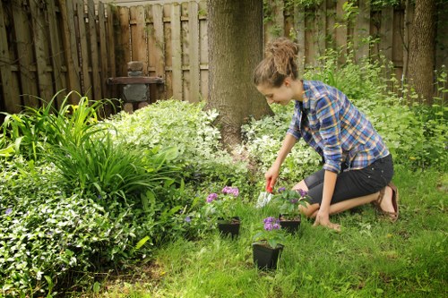Planting, lawn and border finishing for a Hayes outdoor space