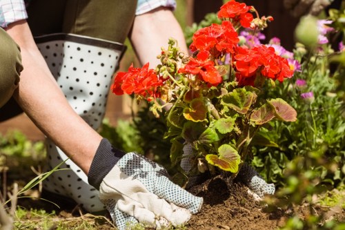 Transparent pricing discussion for a landscaping job