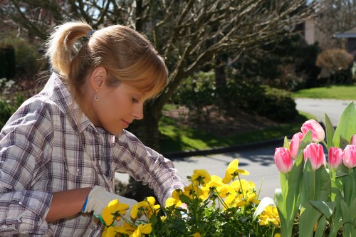 Supplier audit and due diligence in landscaping supply chains